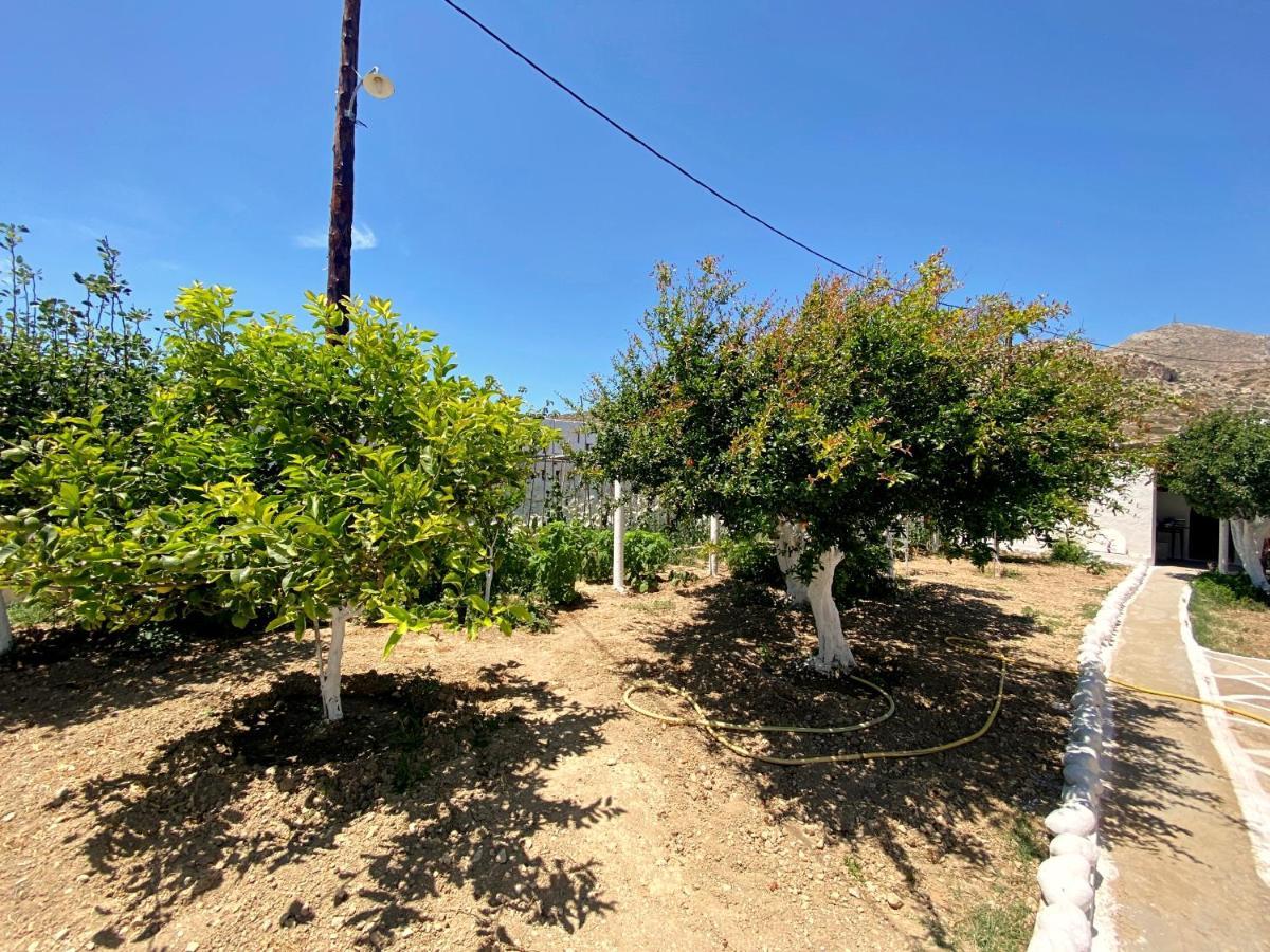 Michail Suites Afiartis Karpathos Luaran gambar