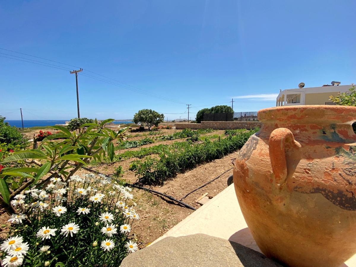 Michail Suites Afiartis Karpathos Luaran gambar